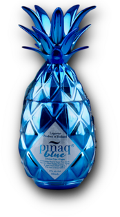Mini Pinaq Blue 17% 0,05L