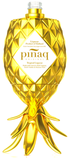Pinaq Gold TROPICAL LIQUEUR 17% 1L
